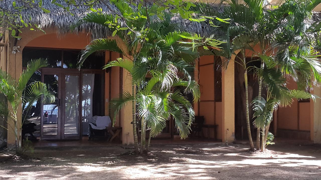 Hotel La Palapa Tamarindo Exterior photo